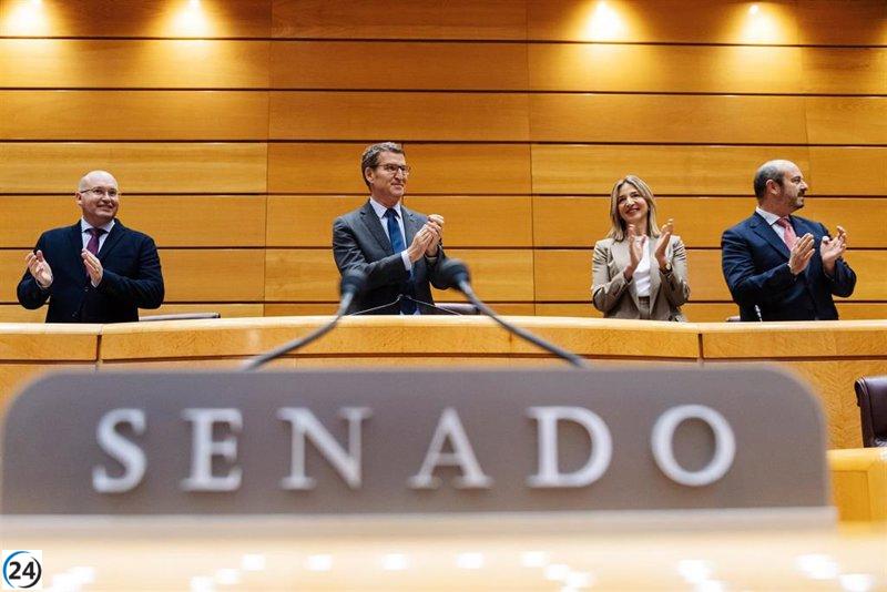 Feijóo en el Senado respalda la reforma del artículo 49:
