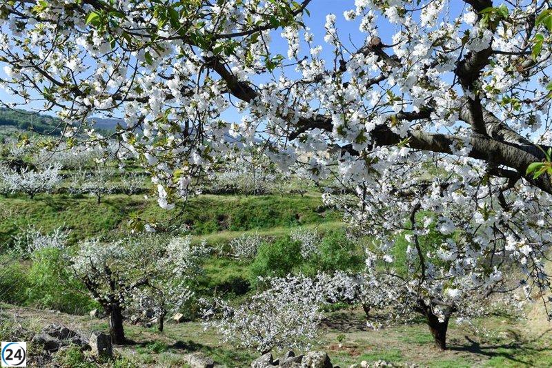 A pesar de desafíos climáticos y económicos, el precio del suelo agrícola en 2023 sigue en alza.