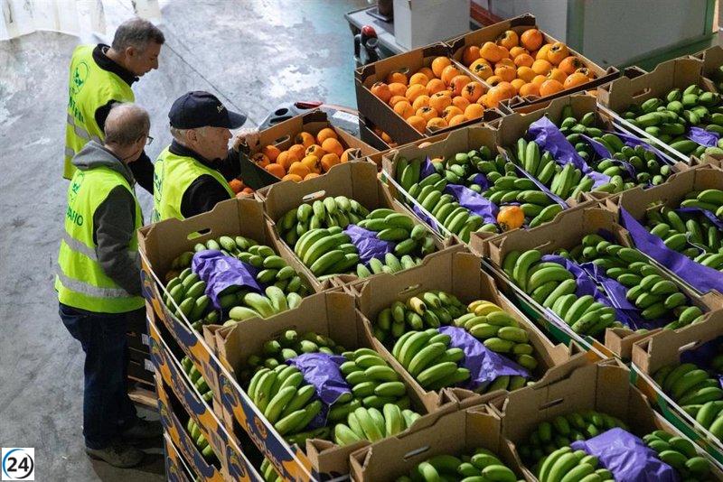 El nuevo formato de tarjetas monedero no pone en riesgo la viabilidad de los bancos de alimentos, asegura Derechos Sociales