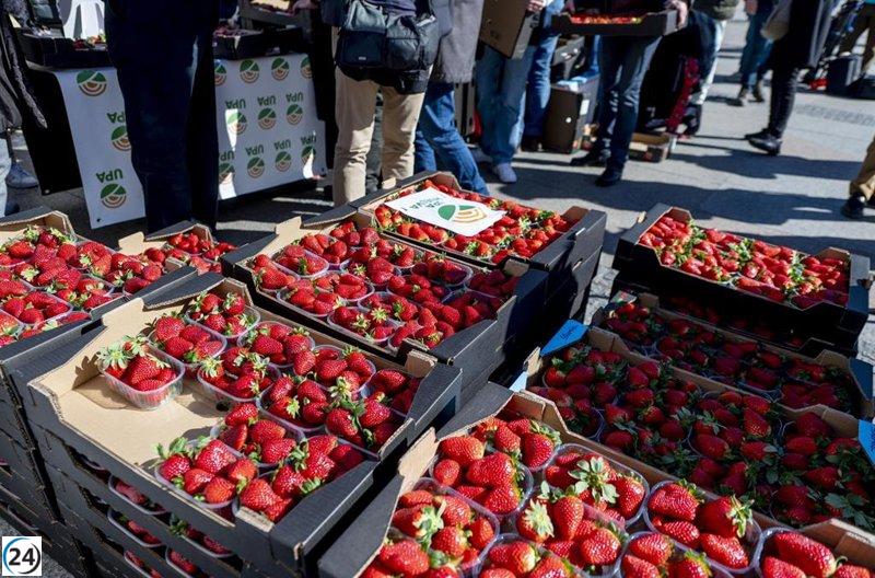 Andalucía realiza más de 1.300 inspecciones de reetiquetado en respuesta al Ministro Planas