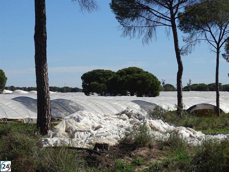Alerta de Ecologistas en Acción por agricultura intensiva en Doñana y Mar Menor.