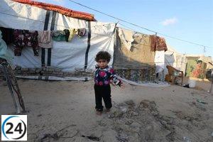 La UNRWA detiene la distribución de alimentos en Rafá debido a la escasez y la violencia