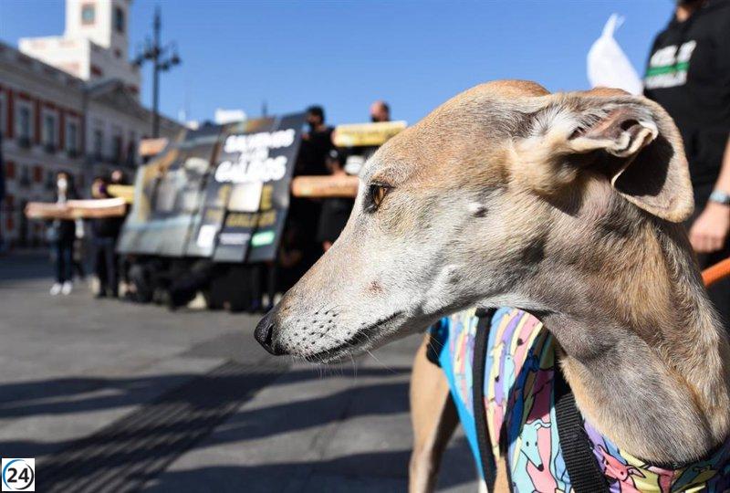 PACMA insta a Bolaños a aumentar las penas por maltrato animal a cinco años de cárcel