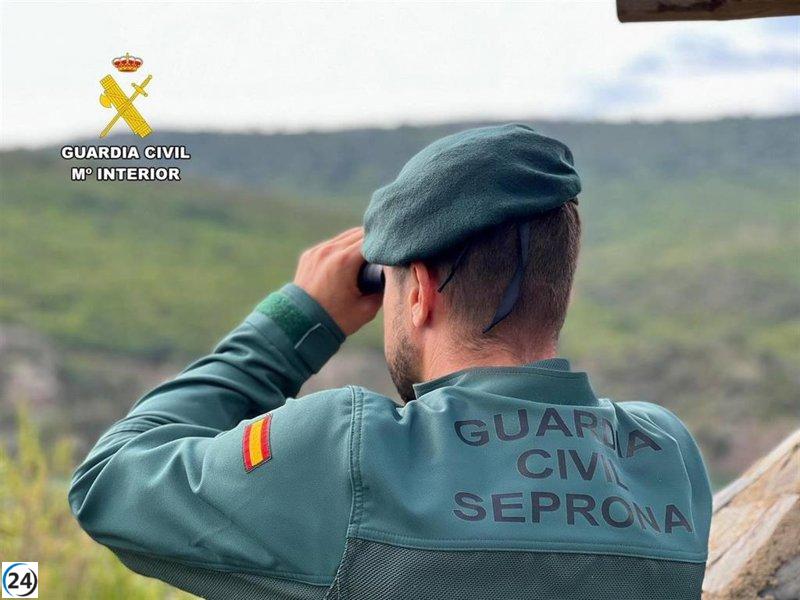 Aumenta la lucha de SEPRONA contra delitos ambientales en cinco años
