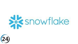 Ciberataque a clientes de Snowflake: Roban gran cantidad de datos