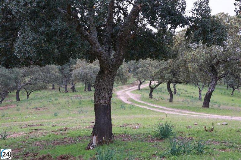 Comunidades autónomas bajo fuego por retraso en aplicar ley europea contra la deforestación.