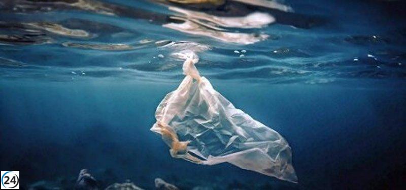 España lidera la mitad de los proyectos de la UE para salvar los océanos en 2030.