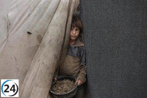 MSF advierte sobre el aumento de enfermedades en bebés y niños en Gaza con la llegada del invierno.