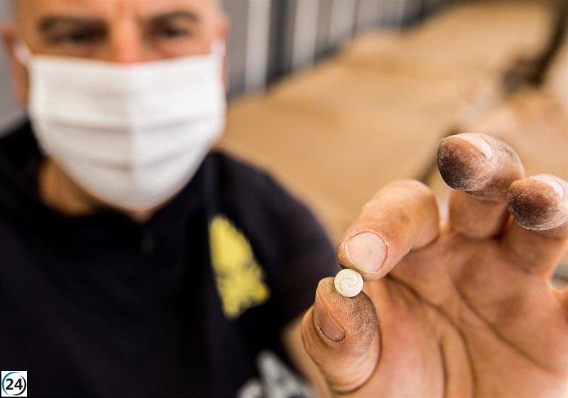 La nueva Siria lucha por desmantelar el legado del narcoestado de Bashar al Assad.