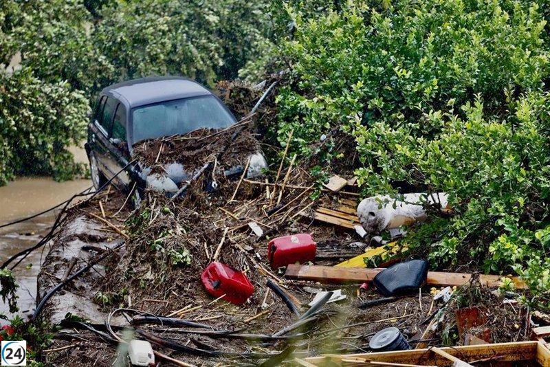 Gobierno destina 53,1 millones a la línea ICO-MAPA-Saeca para apoyar a explotaciones damnificadas por Dana.