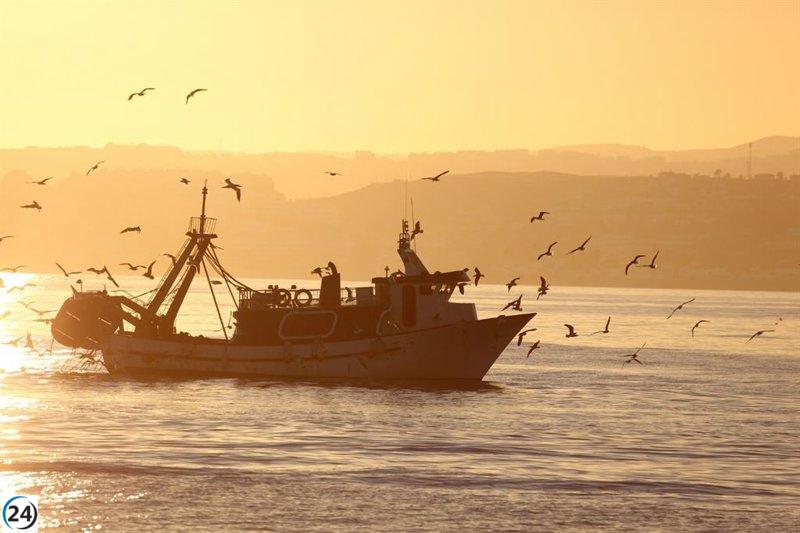 La Eurocámara aprueba el convenio pesquero entre la UE y Cabo Verde.