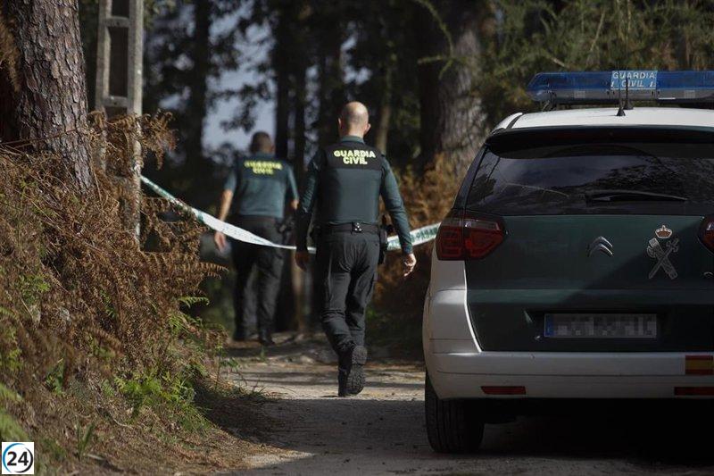 Criminalidad en 2024: ligeros descensos generales, pero alza en homicidios y violaciones.