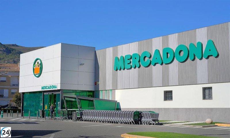 Mercadona se consolida como la cadena de distribución principal en España en 2024 frente al crecimiento de Lidl, Aldi y supermercados locales.
