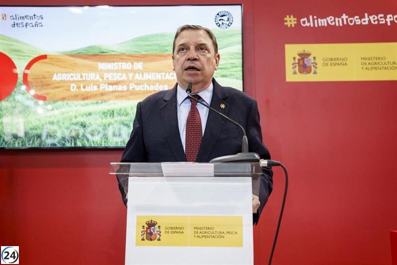 Planas exige acción urgente y decisiva ante posibles aranceles de EE.UU.