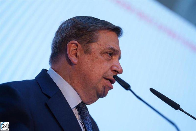 Planas asegura que Koldo gestionó bien las contrataciones, aunque niega su influencia en su Ministry.
