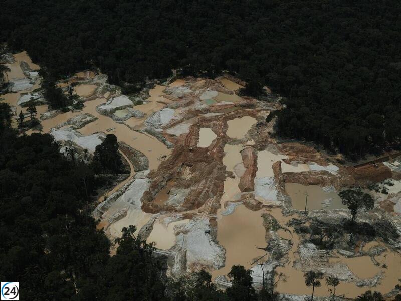 Greenpeace revela que la minería ilegal de oro devastó más de 4.000 hectáreas de la Amazonía en 2023 y 2024.