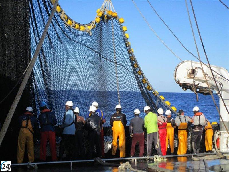Gobierno permite colaboración en la pesca de rabil para buques congeladores en el Índico.