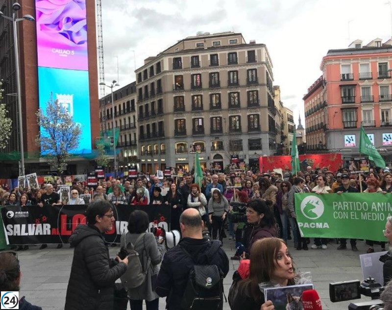 PACMA pide a Transición Ecológica una cita urgente para salvaguardar al lobo de retrocesos en su protección.