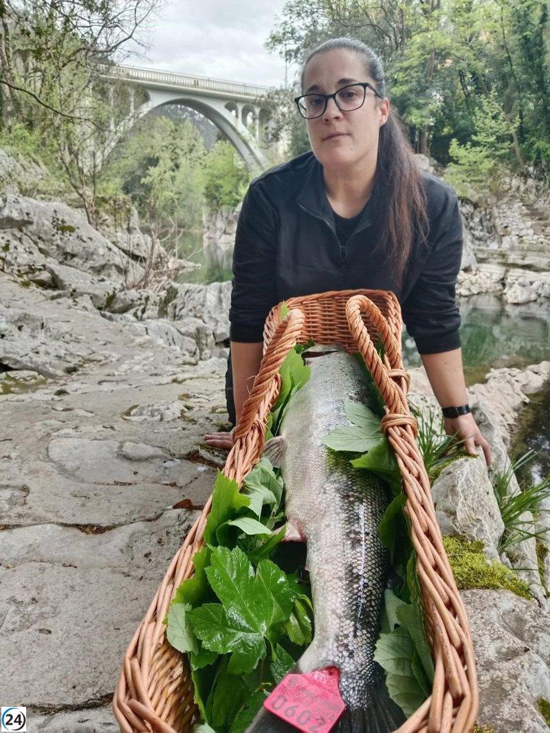 Pescadora de Ramales atrapa el emblemático 'campanu' de Cantabria, pesando 5,3 kilos, en el río Pas.