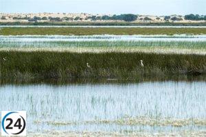 Diez organizaciones exigen al Gobierno que actúe con lógica y rechace el proyecto de un almacén de gas fósil en Doñana.