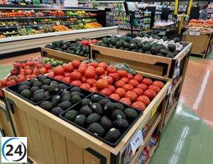 Estados Unidos implementará un impuesto del 21% a los tomates mexicanos a partir de julio.