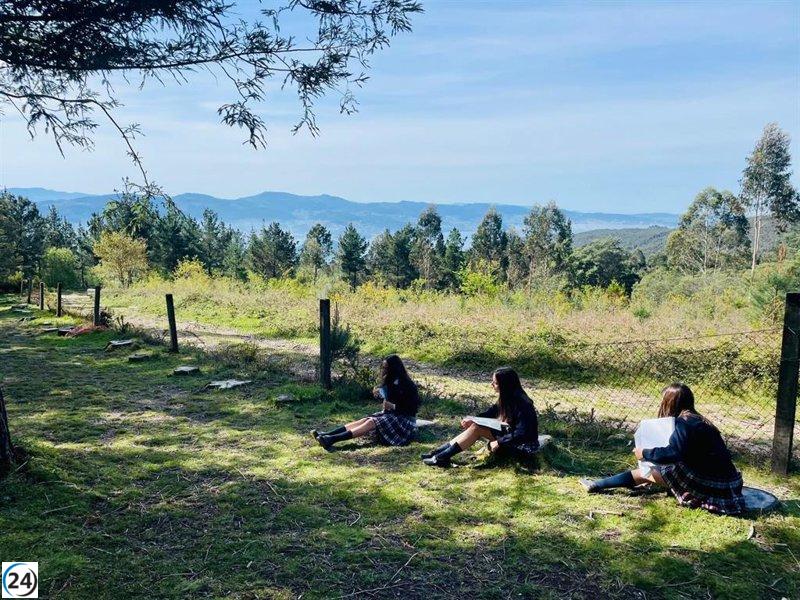 Investigadores de Harvard exploran en España cómo el aprendizaje fuera del aula potencia el bienestar y el rendimiento.
