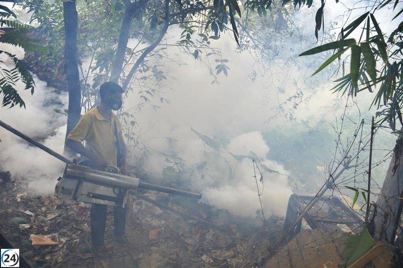 Reunión en crisis sanitaria: autoridades alertan sobre el desbordamiento por el chikungunya.