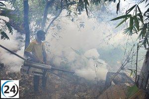 Reunión en crisis sanitaria: autoridades alertan sobre el desbordamiento por el chikungunya.