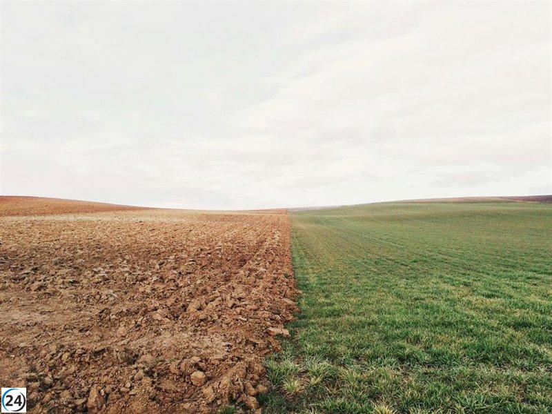 IBM y ESA lanzan TerraMind, una innovadora herramienta para anticipar sequías y monitorear incendios forestales.
