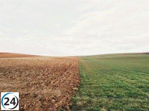 IBM y ESA lanzan TerraMind, una innovadora herramienta para anticipar sequías y monitorear incendios forestales.