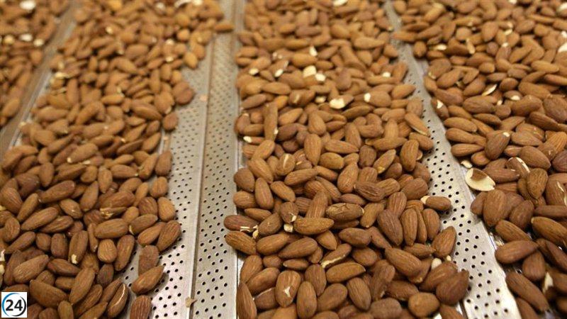 Hoy comienza la ventana para participar en la OPA de exclusión de Bain (Borges), que estará abierta hasta el 19 de mayo.