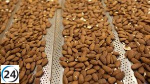 Hoy comienza la ventana para participar en la OPA de exclusión de Bain (Borges), que estará abierta hasta el 19 de mayo.