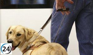 El Gobierno garantiza el acceso a espacios públicos y privados para personas con perros de asistencia.
