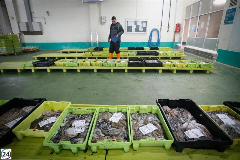 La FAO revela que el 64,9% de las poblaciones pesqueras en el Mediterráneo y el Mar Negro están en riesgo por prácticas insostenibles.