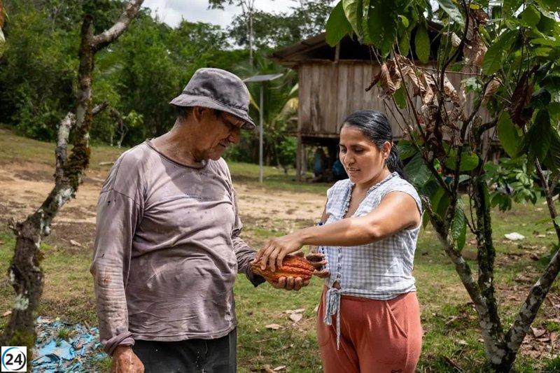 Casi la mitad de los emprendedores apoyados por la Fundación Microfinanzas BBVA han dejado atrás la pobreza: