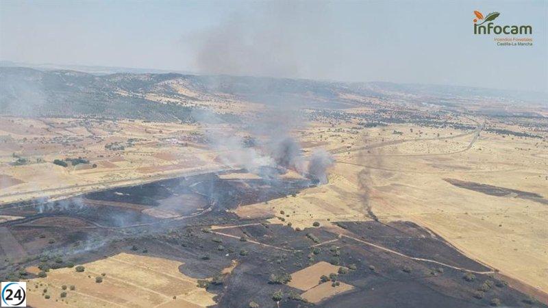 Interrumpido el servicio de trenes Madrid-Andalucía debido a un incendio en Ciudad Real.