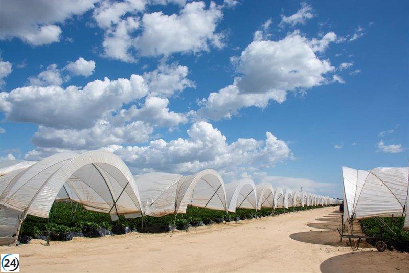 El Gobierno lanza nuevas pautas en el BOE para apoyar a los agricultores de Doñana.