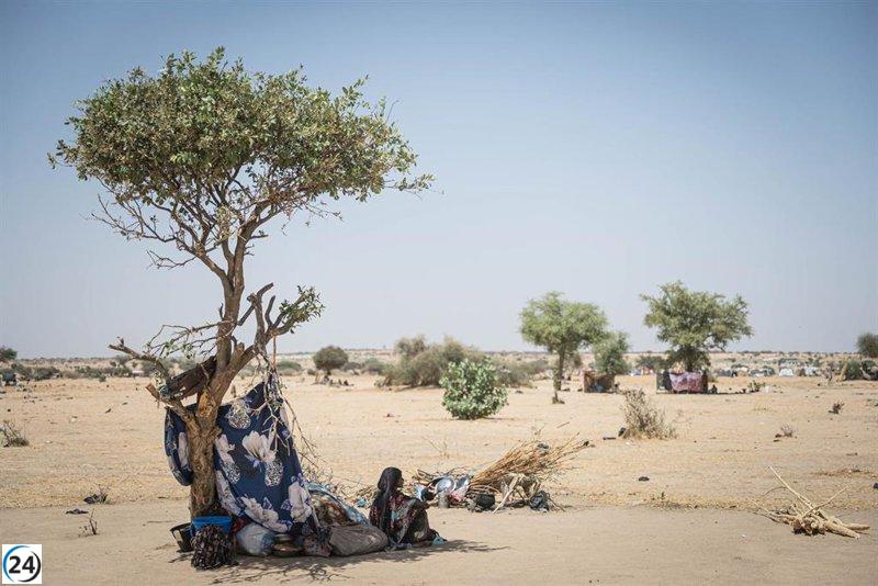 La ONU condena el costo devastador para los civiles en Sudán tras los ataques de RSF en Darfur.