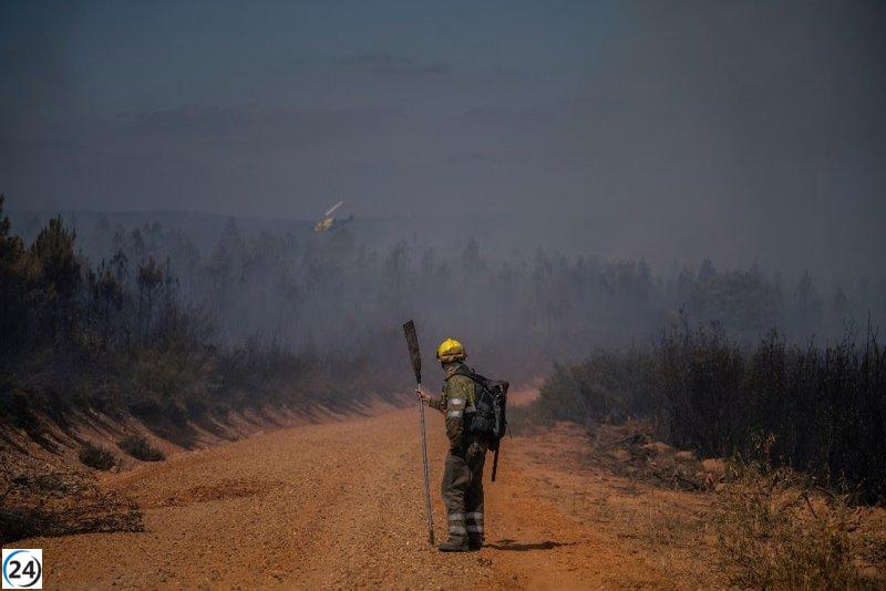 Greenpeace destaca que invertir 1.000 millones anuales en prevención de incendios podría evitar gastos de 99.000 millones en extinción.