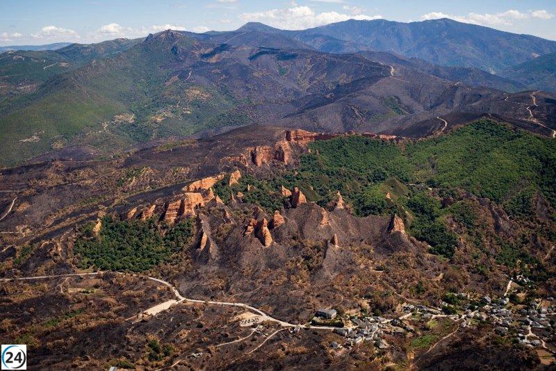 Greenpeace capta desde el cielo la devastación provocada por incendios en Galicia y Castilla y León.