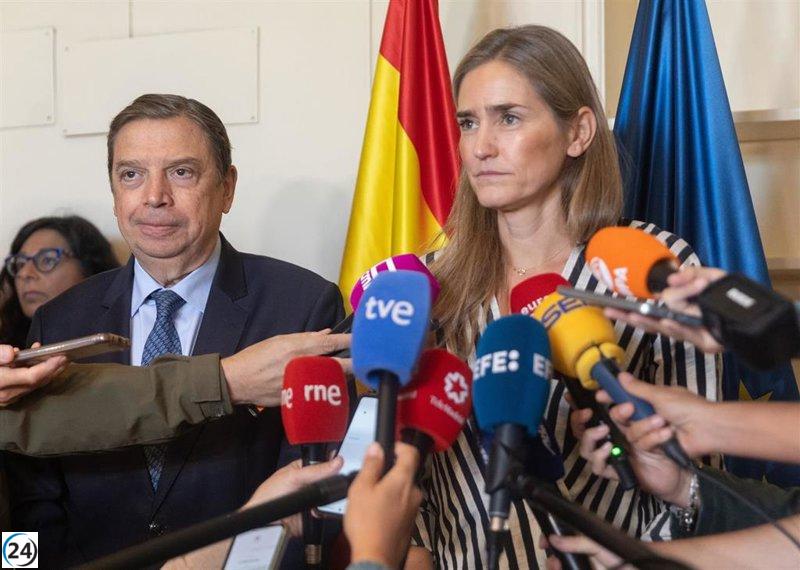 Aagesen apoya la suspensión del Valencia-Oviedo por las intensas lluvias: 