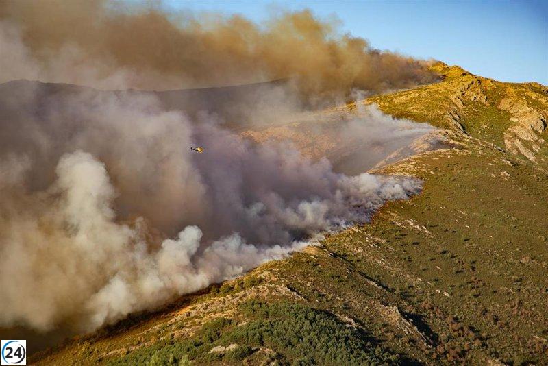 Los incendios devastan más de 354,000 hectáreas en 2025, marcando un año récord de destrucción.
