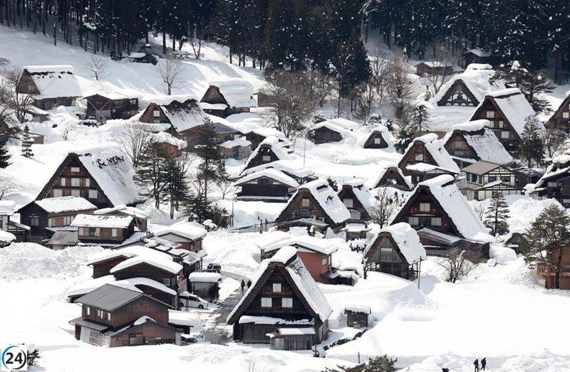 Un oso hiere ligeramente a un turista español en Japón.