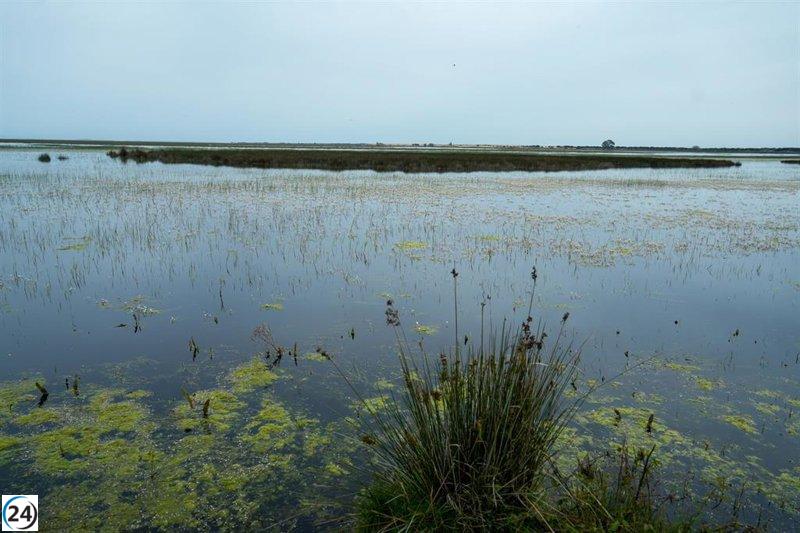 El 43% de los sitios naturales del Patrimonio Mundial, en peligro por el cambio climático, advierte la UICN.