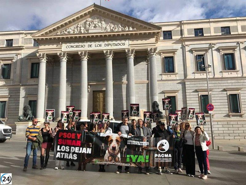 PACMA pide incluir a los perros de caza en la Ley de Protección Animal, criticando a PSOE y Sumar por su exclusión.