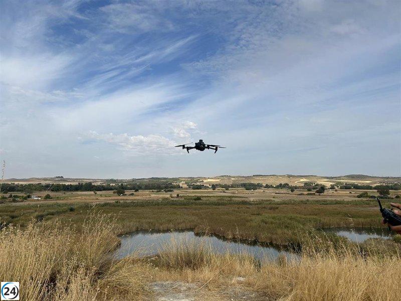 Bélgica califica de