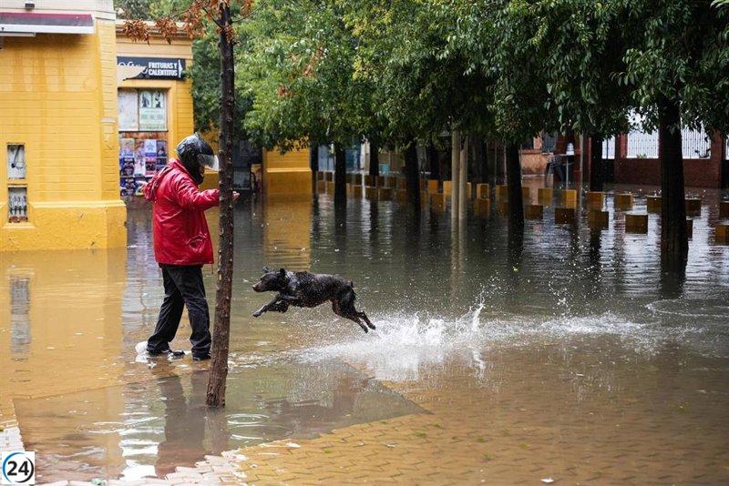 España arranca el año hidrológico con una drástica caída del 51% en las lluvias, registrando solo 33 l/m2.