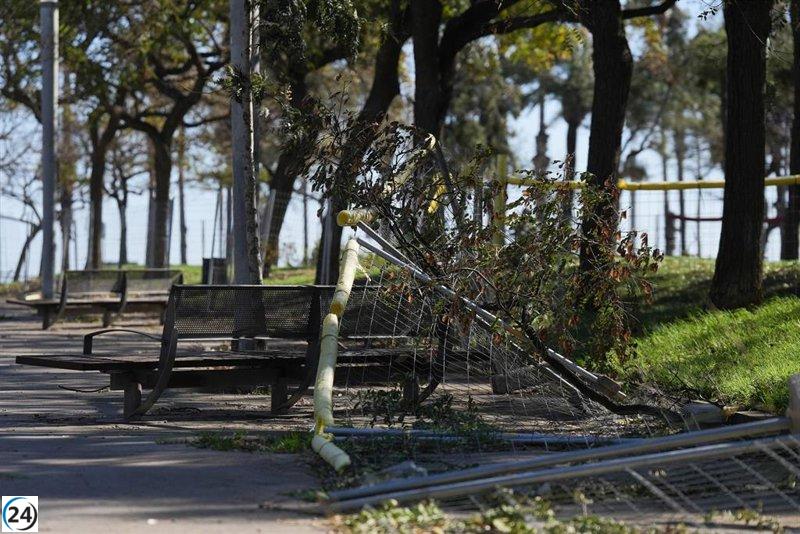Plan Ventcat de Protección Civil en vigor por viento fuerte; 112 reporta más de mil llamadas de emergencia.