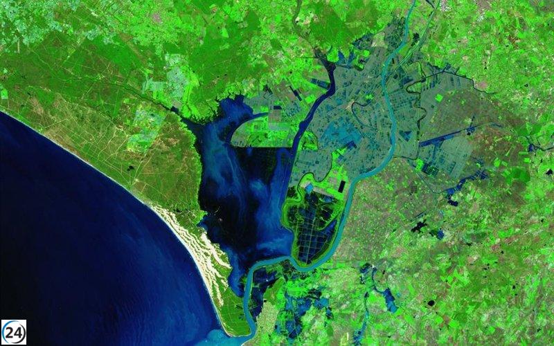 Marisma de Doñana sufre inundación histórica tras acumulación de 582 litros en El Rocío, la cifra más alta desde 2010.