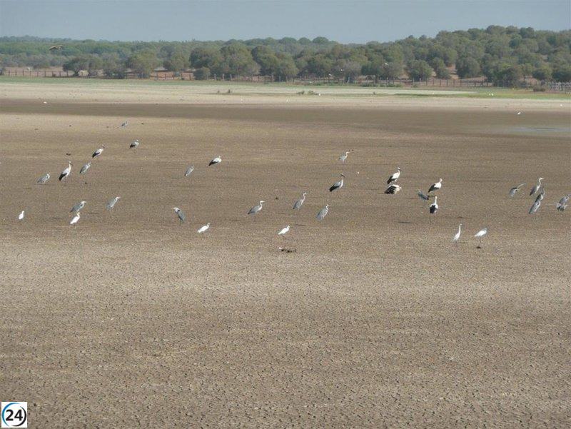 Bruselas advierte a España de las multas por la ampliación de regadíos en Doñana.